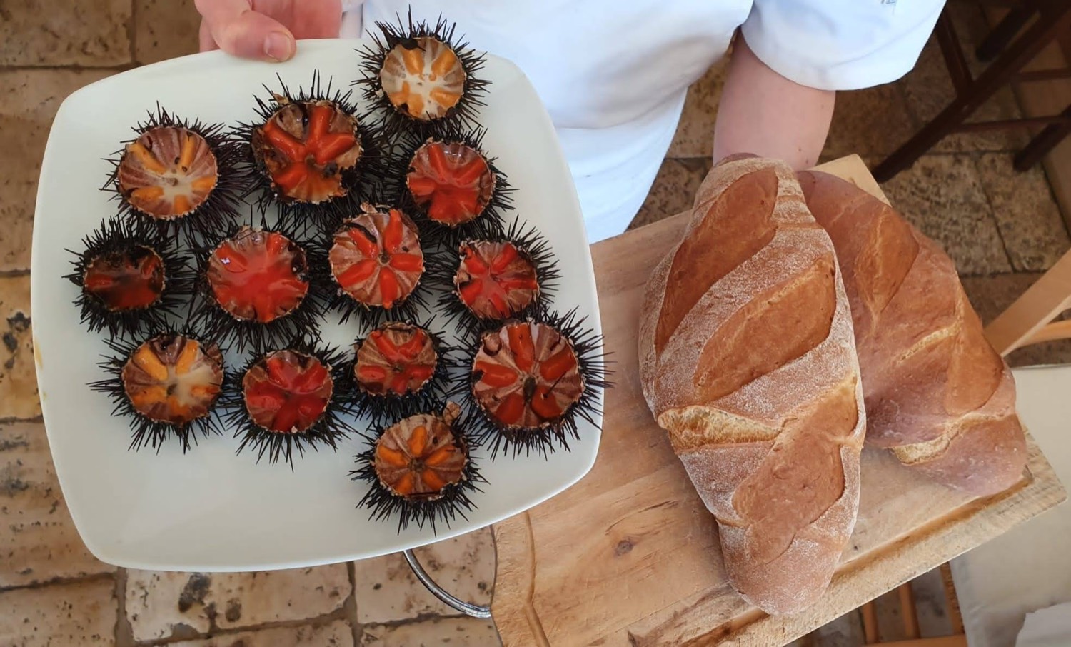Une assiette d'oursins fraîchement ouverts, à côté de deux pains